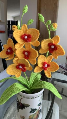 68a27e89-6daf-4354-9471-5f731c08829b