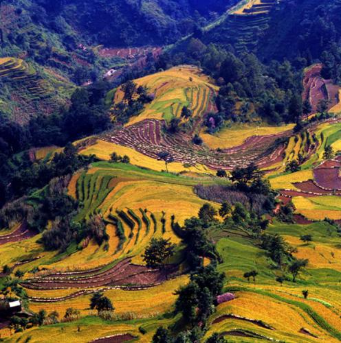 dab01c5f-89d1-4b39-b9d4-dff7629b5379